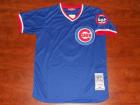 Chicago Cubs #8 ANDRE DAWSON mitchell&ness blue jerseys