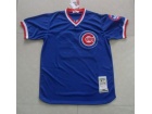 Chicago Cubs #23 SANDBERG Mitchell&ness blue jerseys