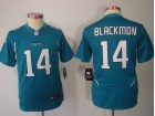 Jacksonville Jaguars #14 Blackmon Green Youth Limited Jerseys