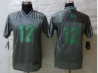 Youth Nike Seattle Seahawks #12 Fan Grey Vapor Elite Jerseys