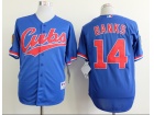 Chicago Cubs #14 Ernie Bank Blue 1994 Turn Back The Clock Jerseys