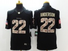 Nike Denver Broncos #22 C.J. Anderson Black Salute to Service Jersey