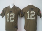 Indianapolis Colts #12 Andrew Luck Green Salute to Service Nike Limited Jerseys