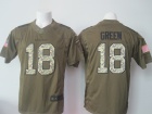 Cincinnati Bengals #18 A.J Green Green Salute to Service Nike Limited Jerseys