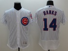 Chicago Cubs #14 Ernie Bank White Pinstrip FlexBase Jersey