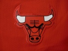 Chicago Bulls #1 Derrick Rose Red Rev 30  Basketball Jerseys