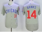 Chicago Cubs #14 Ernie Banks Gray Flex Base Jerseys (Chicago)