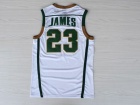 St. Vincent-St. Mary High School Irish #23 Lebron James White Stitched College Basketball Jersey