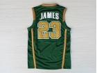 St. Vincent-St. Mary High School Irish #23 Lebron James Green Stitched College Basketball Jersey