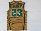 St. Vincent-St. Mary High School Irish #23 Lebron James Yellow Stitched College Basketball Jersey