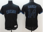 Chicago Cubs #14 Ernie Banks Black Lights Out Flexbase Jersey