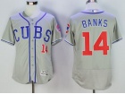 Chicago Cubs #14 Ernie Bank Grey Flexbase Jersey