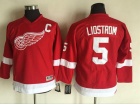 Youth Detroit Red Wings #5 Nicklas Lidstrom Red CCM Hockey Jersey