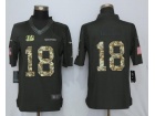 Cincinnati Bengals #18 A.J. Green Anthracite Salute to Service Limited Football Jersey