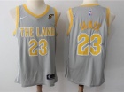 Nike Cleveland Cavaliers #23 LeBron James Gray The Land Swingman Basketball Jersey