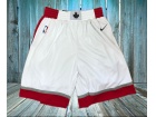 Nike Toronto Raptors White Basketball Short