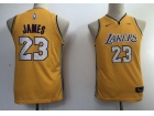 Nike Youth Los Angeles Lakers #23 LeBron James Yellow Jersey