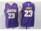 Nike Youth Los Angeles Lakers #23 LeBron James Purple Jersey