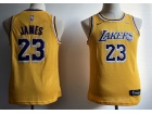 Nike Youth Los Angeles Lakers #23 LeBron James Yellow New Style Jersey