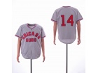 Chicago Cubs #14 Ernie Banks Gray Zipper Throwback Jersey