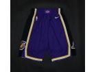 Nike Los Angeles Lakers Purple Basketball Short