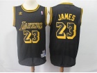 Adidas Los Angeles Lakers #23 LeBron James Black Basketball Jersey