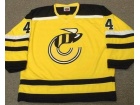 Custom BARRY MELROSE Cincinnati Stingers 1978 WHA Throwback Hockey Jersey