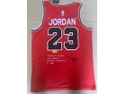 Chicago Bulls #23 Michael Jordan Red 85 Commemorative Edition Jersey