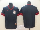 Minnesota Twins Blue Nike Cooperstown Collection Legend V-Neck Jersey