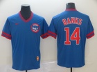 Chicago Cubs #14 Ernie Banks Blue Nike Cooperstown Collection Legend V-Neck Jersey