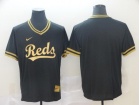 Cincinnati Reds Blank Nike Black Gold Fashion Jersey