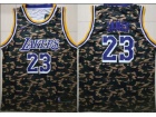 Nike Los Angeles Lakers #23 LeBron James Camo Jersey