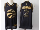 Nike Toronto Raptors #2 Kawhi Leonard Black Golden Swingman Jersey