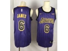 Nike Los Angeles Lakers #6 LeBron James Purple City Jersey