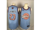 Nike Los Angeles Lakers #23 LeBron James Blue Teases Tune Squad Jersey