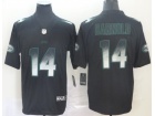 New York Jets #14 Sam Darnold Black Arch Smoke Vapor Limited Jersey