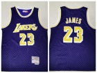 Los Angeles Lakers #23 LeBron James Checkerboard Purple Mitchell & Ness Jersey