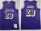 Los Angeles Lakers #23 LeBron James Purple Mouse Year Jersey