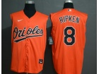 Nike Baltimore Orioles #8 Cal Ripken Orange Vest Jersey