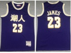 Los Angeles Lakers #23 LeBron James Purple Chinese Throwback Jersey