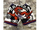 Toronto Raptors White Mitchell&Ness Big Face Short