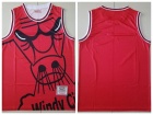 Chicago Bulls Red Mitchell&Ness Big Face Jersey