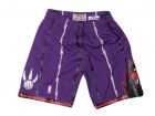 Toronto Raptors Purple Mitchell&Ness Shorts