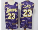 Los Angeles Lakers #23 Lebron James Purple HWC Tear Up Pack Swingman Jersey