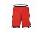 Martin #23 Red Short