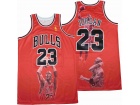 Chicago Bulls #23 Michael Jordan Red Portrait Jersey