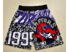 Toronto Raptors Black Big Face Mitchell&Ness Big Face Shorts