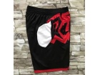 Toronto Raptors Purple Big Face Mitchell&Ness Big Face Shorts