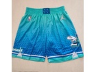 Jordan Charlotte Hornets Teal 2021-22 City Shorts