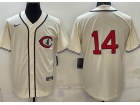 Nike Chicago Cubs #14 Ernie Banks Cream of Field Jersey